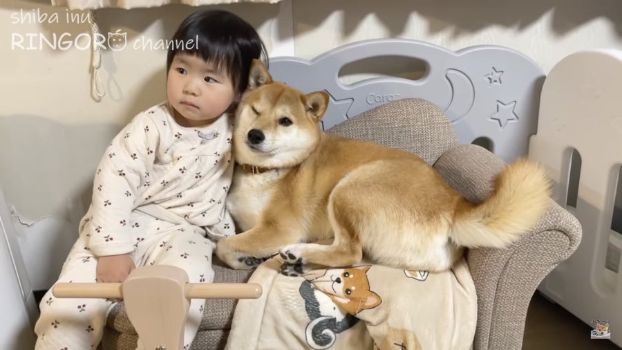 柴犬りんご郎のパパの仕事は訪問美容 収入 年収 や顔出し情報も シュバルツのトレンディ日和