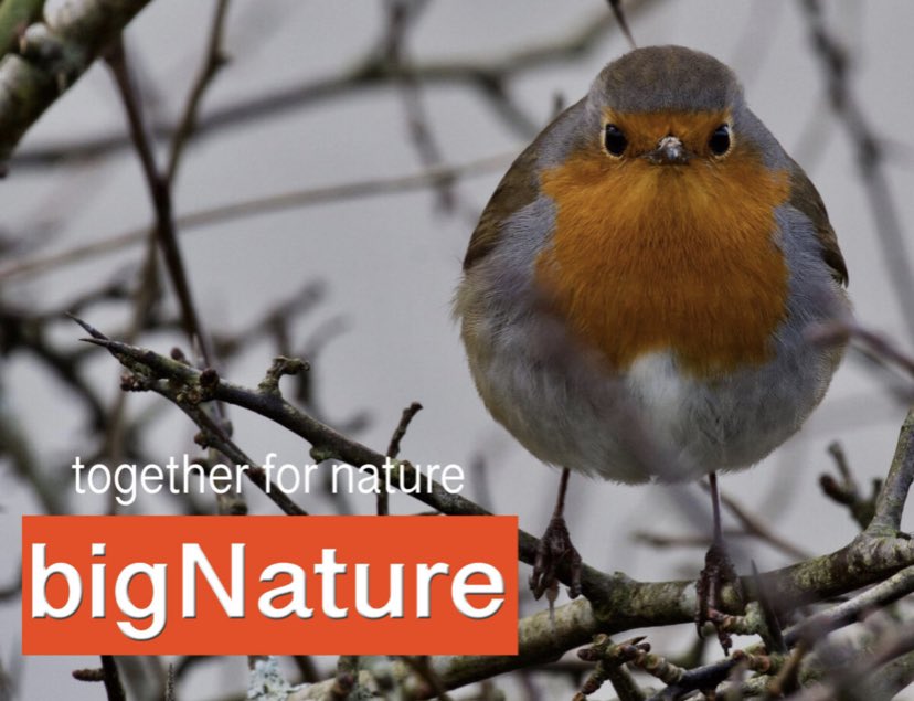 the_beeguy's tweet photo. bigPretence = extinction
bigNature = a fighting chance
Add your voice...
https://t.co/YpYl7cKL4s
We don’t want your money just two minutes of your time.
#nature #ecocide #ifnotnowwhen #thenewvoicefornature
#unowned #new #brave
#naive #wildmatters #wild
#saveitall https://t.co/F4ySI7qqGc