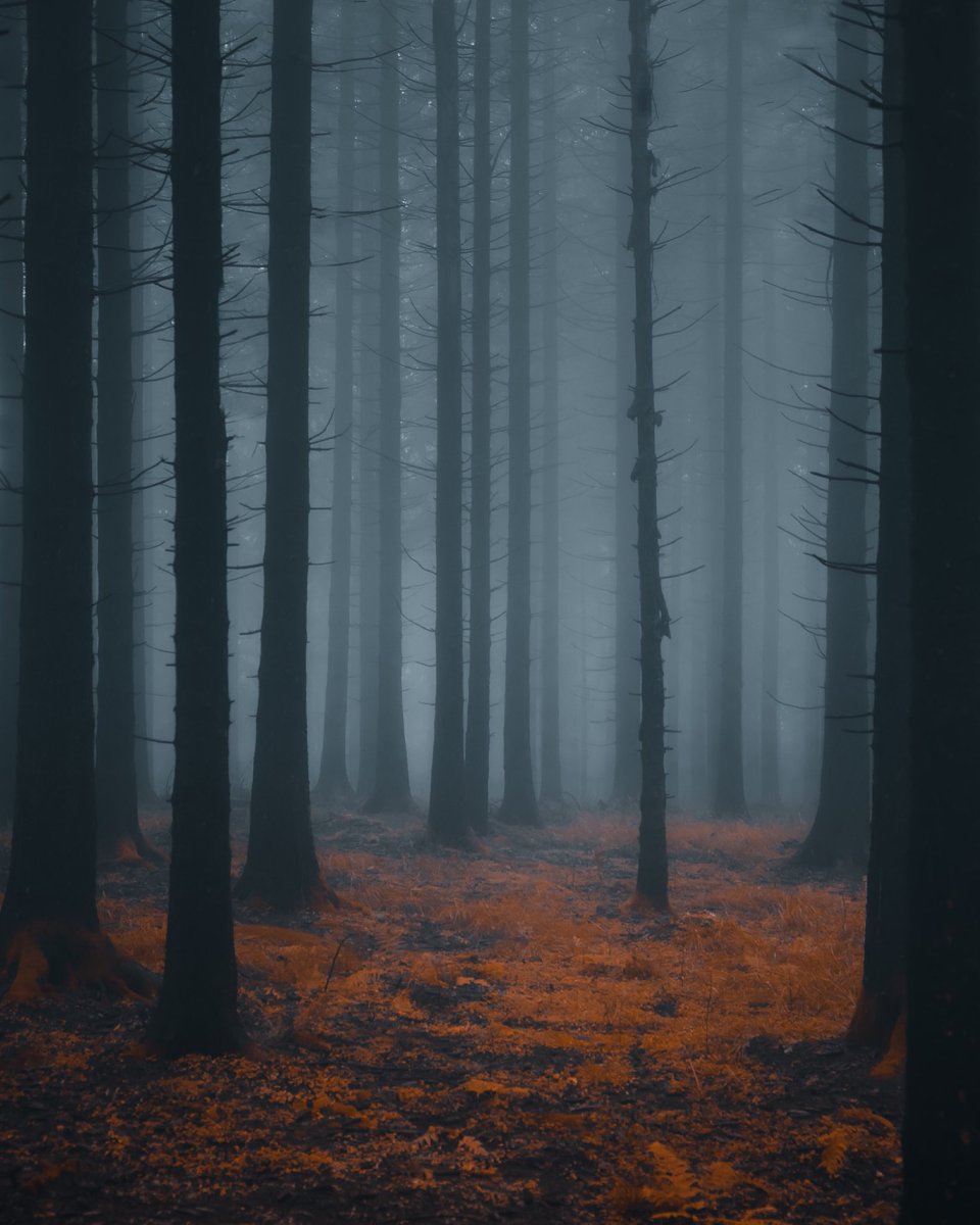 FABIAN•HUEBNER tweet media