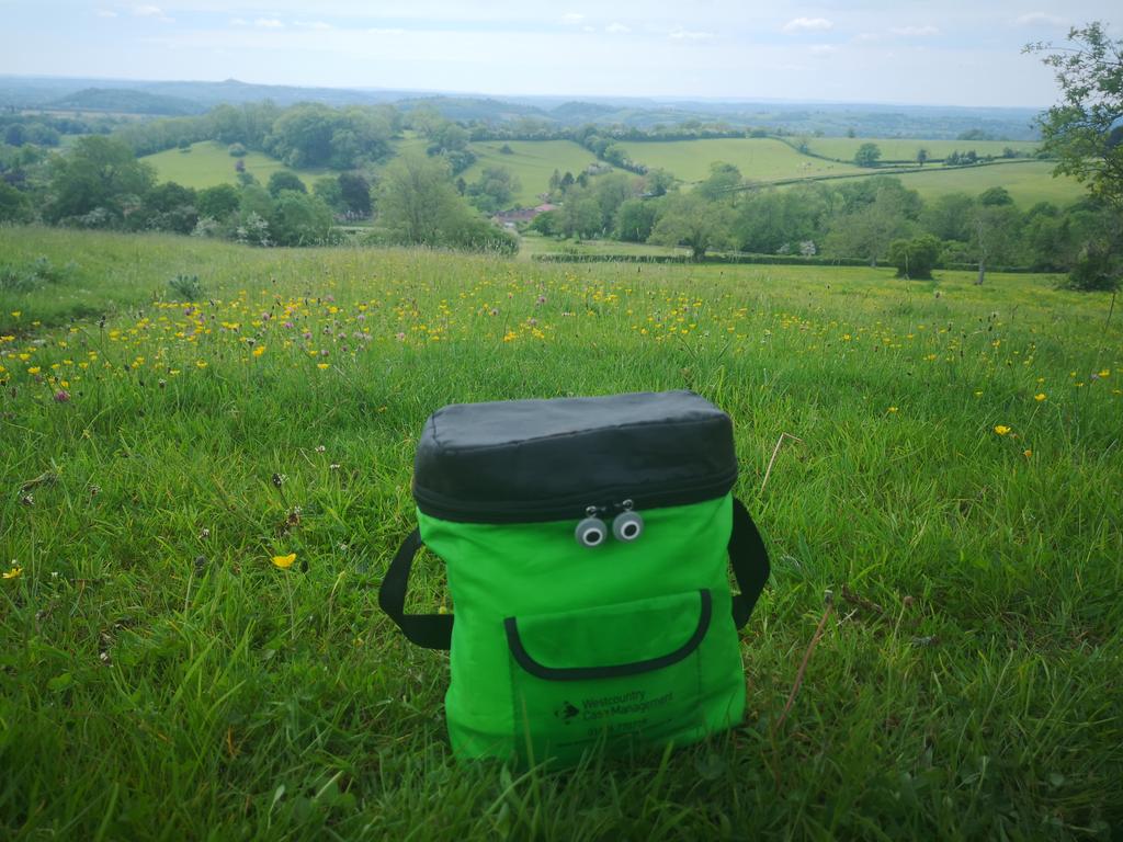 PridhamBianca's tweet photo. My @Westcountry_CM lunch bag does love an adventure. #selfcare #casemanagement #bankholidayfun https://t.co/R6AzfWSvLZ