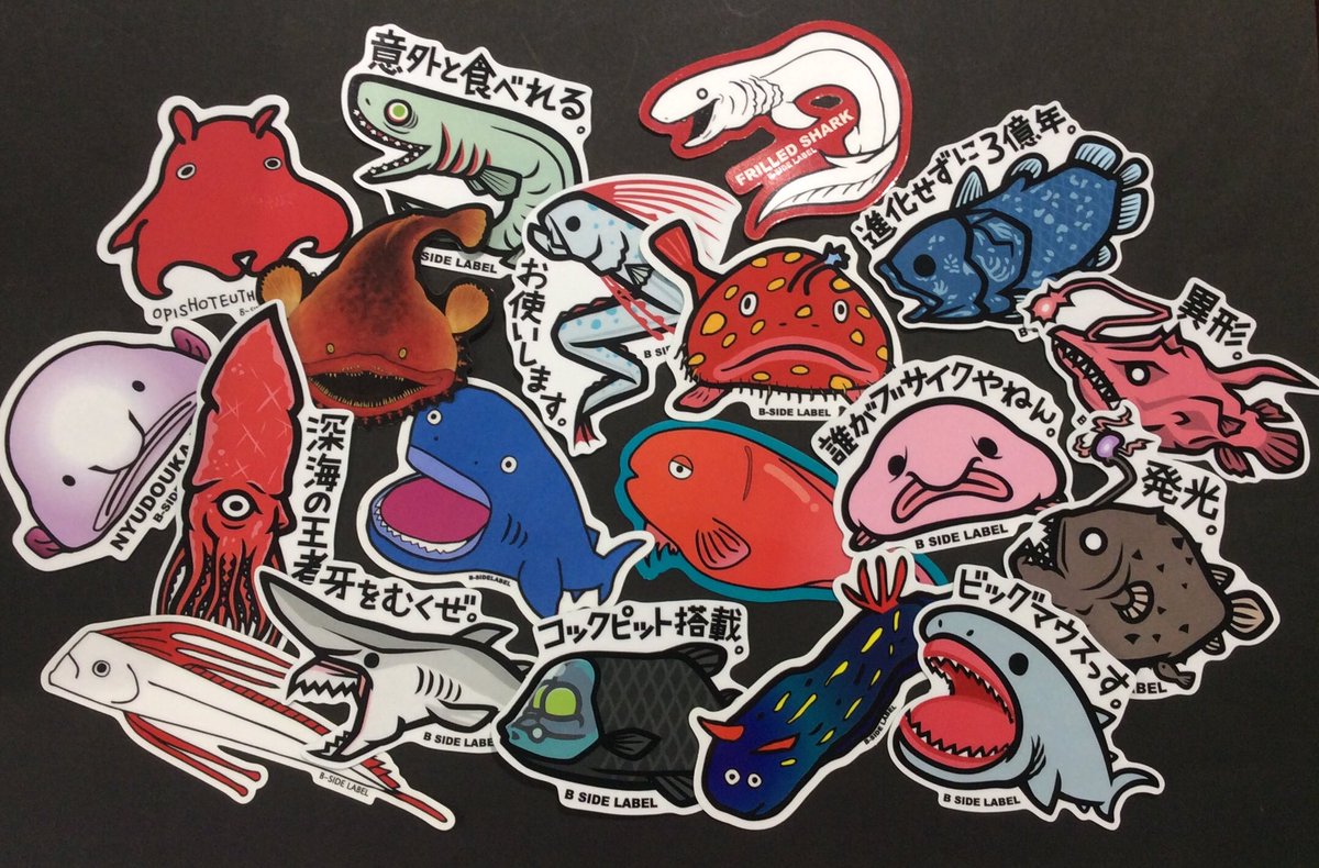 京都店】クローズしました?今日は深海魚特集?あんな深海魚やこんな 