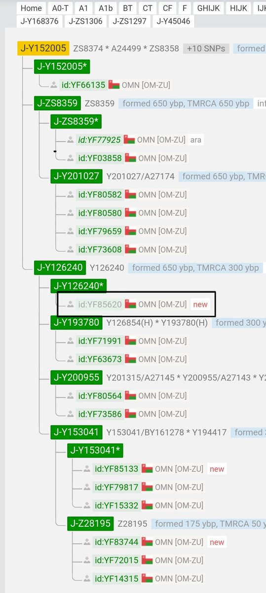 قبيلة الحكلي ( القرا ) DNA tweet media