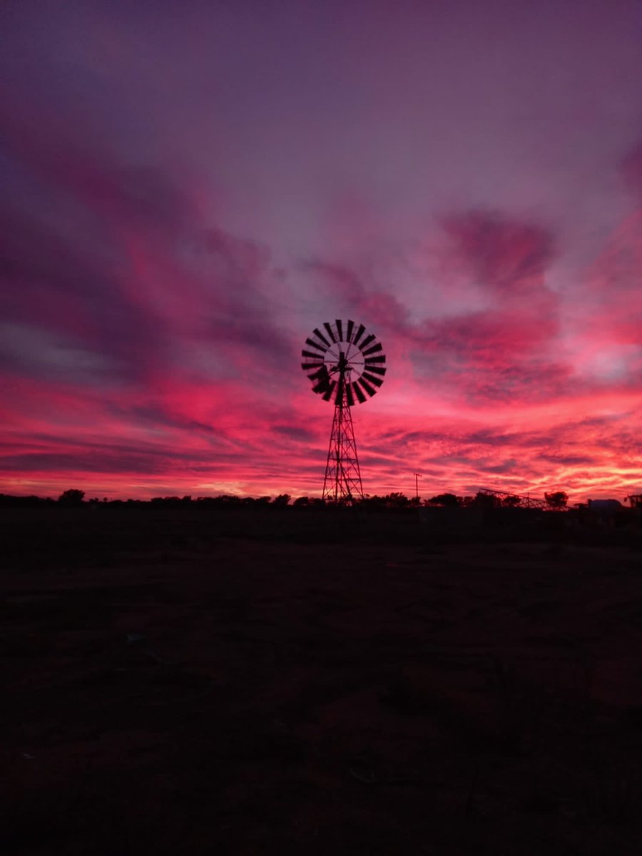 GarethRoweWA's tweet photo. As the sunsets on the CBH directors campaign thank you for the privilege - it’s been great connecting with the brilliant farming community. And to the contestants Gary, Pegas, Philip Royce and Wally win or lose I wish you well .. you leave a bit of skin in the game every time ! https://t.co/8Z1jrHalNi