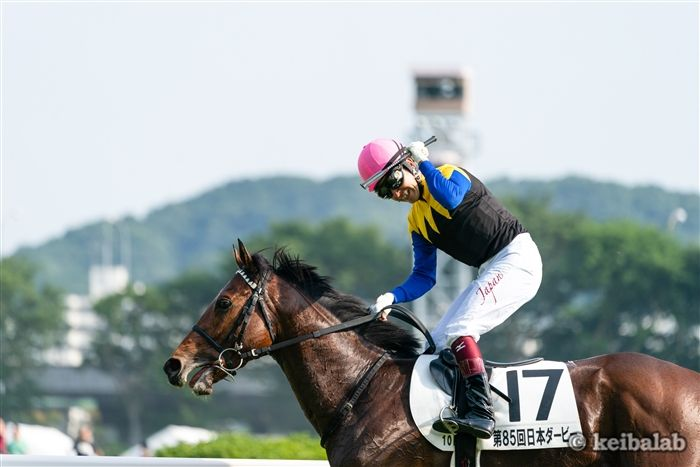keibalab's tweet photo. 【極めた3度目の頂点】
福永祐一騎手のダービー制覇
18年ワグネリアン
20年コントレイル
21年シャフリヤール
#競馬 #keiba #シャフリヤール #福永祐一 
https://t.co/Vd8BkCuQQ3 https://t.co/bkCz57REVA