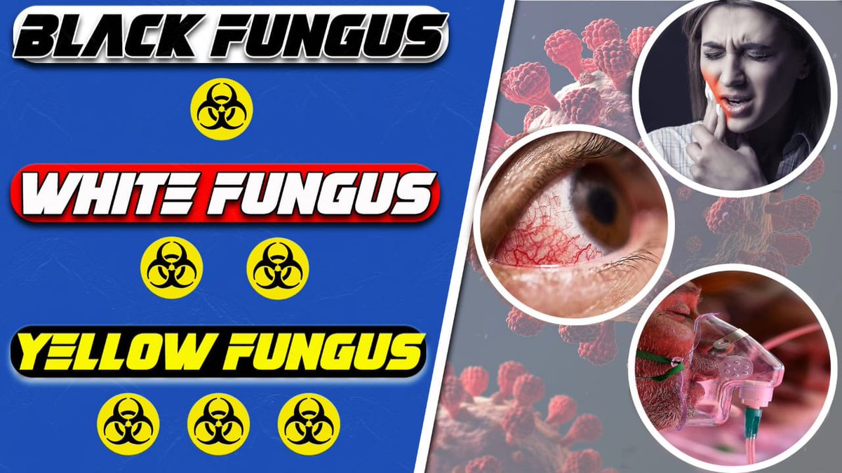 Why deadly ‘black fungus’ is ravaging COVID patients in India? And we are just sitting and watching the whole scenario by doing nothing. #Fight_Against_Fungus #WeWantHealthRight <a href="/ChouhanShivraj/">Shivraj Singh Chouhan</a> <a href="/DrPRChoudhary/">Dr. Prabhuram Choudhary</a>