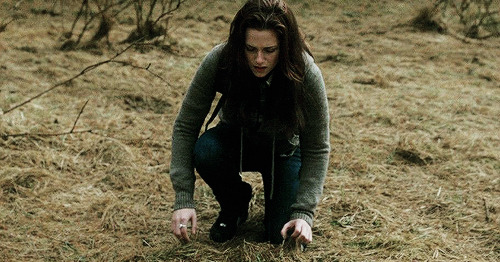 archivetwilight's tweet photo. therapy                              watch 
                                     twilight saga
  ❌                                       ✅ https://t.co/VZPDV2fBqY
