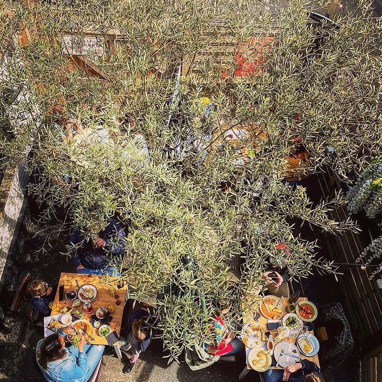 THE MIXER tweet media