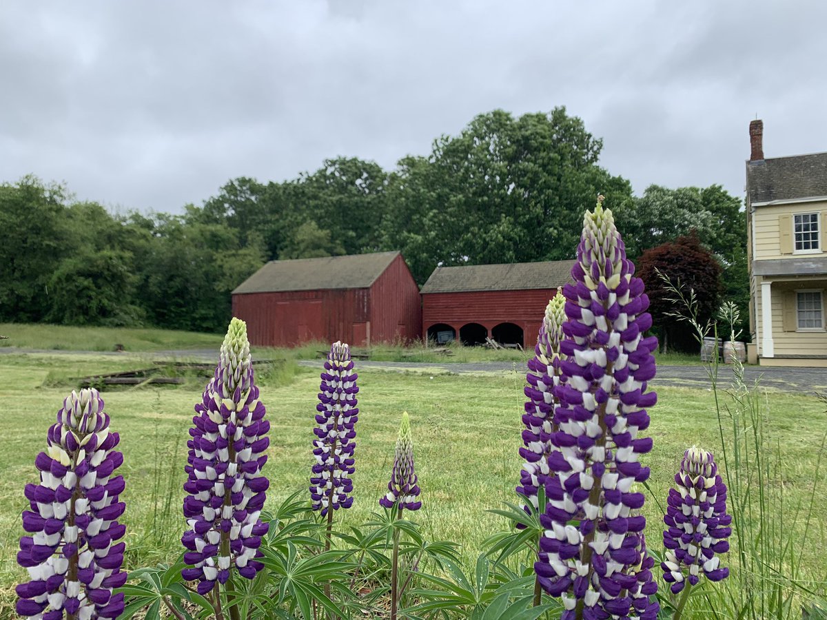 MBursig's tweet photo. Yesterday I assisted Old Bethpage Village in their recreation of a 1870s Decoration Day (Memorial Day) Ceremony. We were undaunted by the rain. Remember the fallen. ๐บ๐ธ๐#Memorialday #decorationday #GAR #OBVR #LongIsland #oldbethpagevillage https://t.co/UbWNtF5YWa