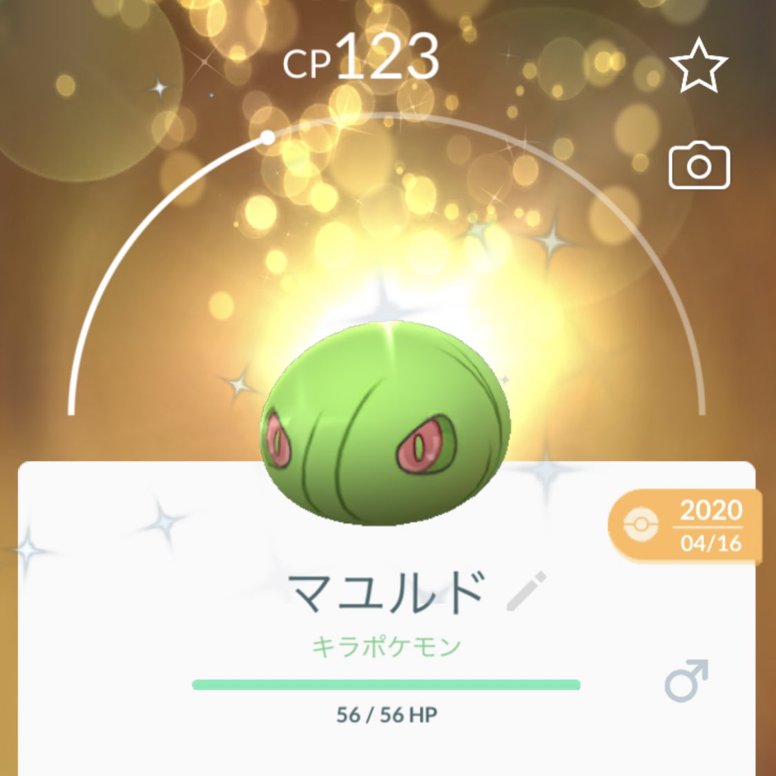 ポケモンgo マユルドの色違い 入手方法と実装状況 攻略大百科