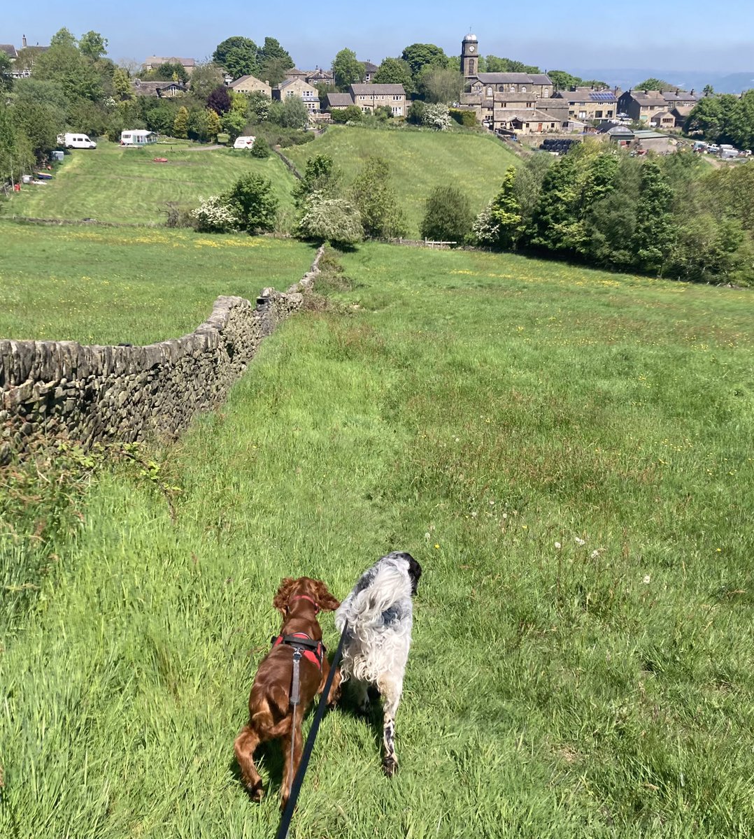 Tim_C_Ingram's tweet photo. Nearly home x #HolywellGreen #Stainland #Calderdale https://t.co/FOIRQbBWpo