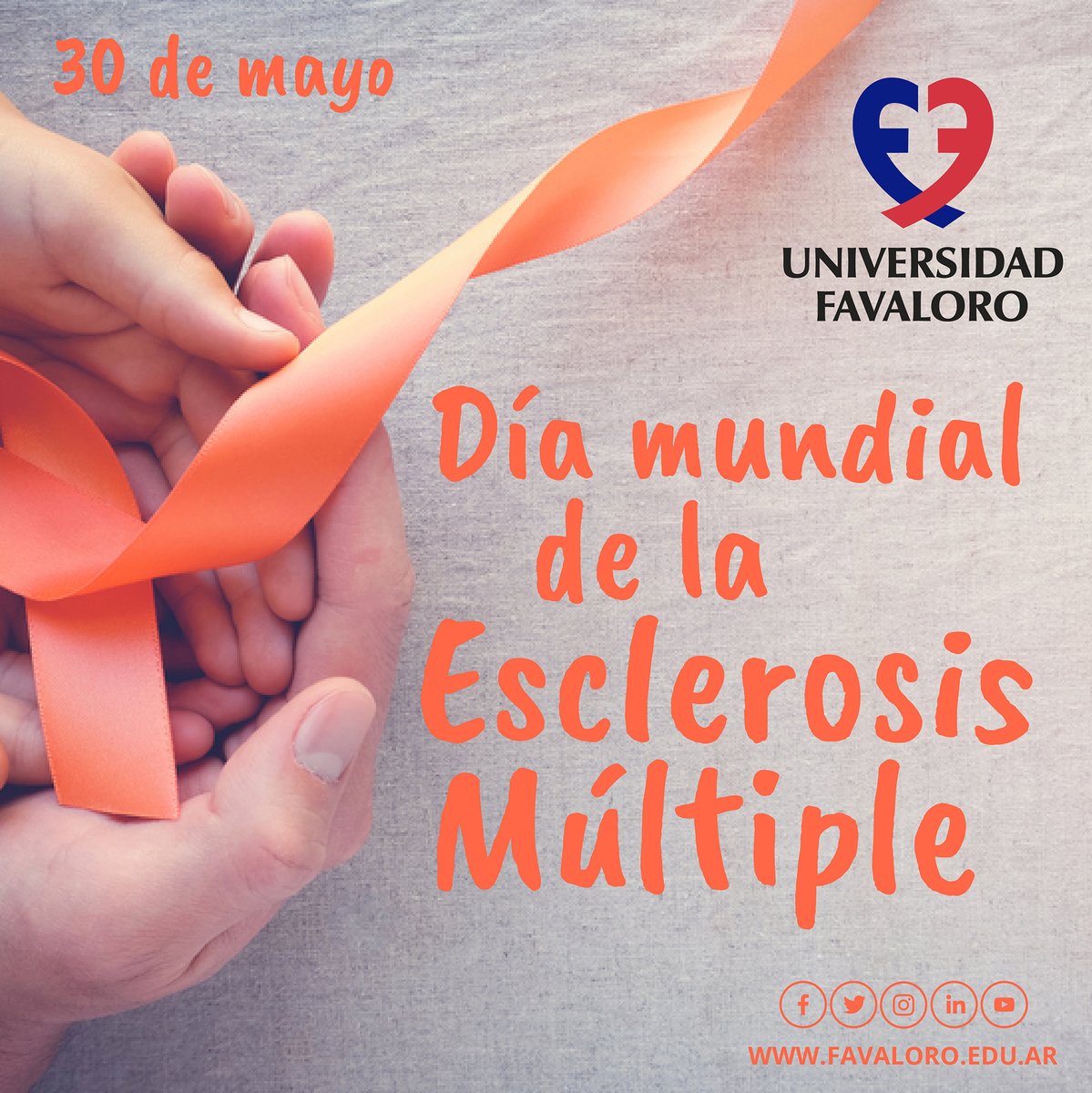 unifavaloro's tweet photo. La esclerosis múltiple constituye una de las afecciones neurológicas más discapacitante en el adulto joven. El diagnóstico temprano y el tratamiento adecuado permiten atenuar y espaciar los brotes y su progresión.

Fuente: Esclerosis Múltiple Argentina
#FavaloroEduca https://t.co/ChLWanRkBL