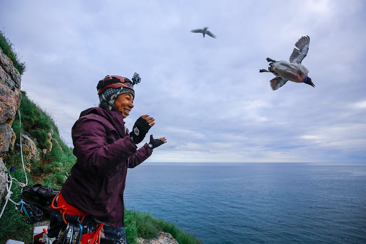 Hi! I'm Dr. Emily Choy. I've loved nature since I was a child feeding chickadees near Lake Simcoe. I'm now a postdoc studying Arctic seabirds. I love backcountry camping &amp; go hiking every day in nature because there's no place I'd rather be! #BlackInNature #BlackBirdersWeek2021