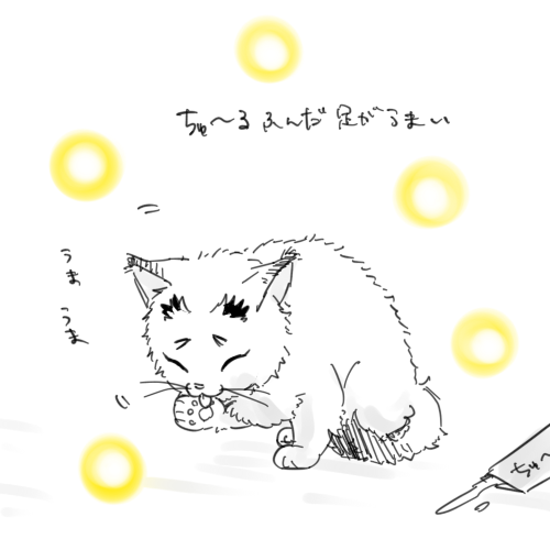今日は怒ってない 