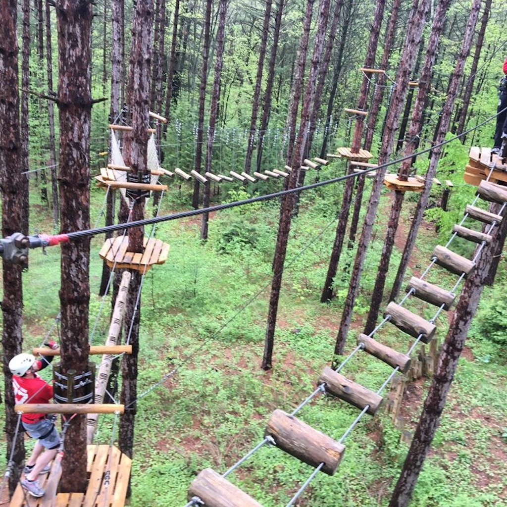 MDGCanada's tweet photo. Experience the thrill of the forest with treetop trekking!  A unique nature experience awaits in the Ganaraksa Forest, a short drive from Mondria 1.
Learn more: https://t.co/PVe0OKz5HA
#condos #durham #clarington #comingsoon #condo #LiveTheArt #vaughan #oshawa #pickering https://t.co/tEiy1F5HrS