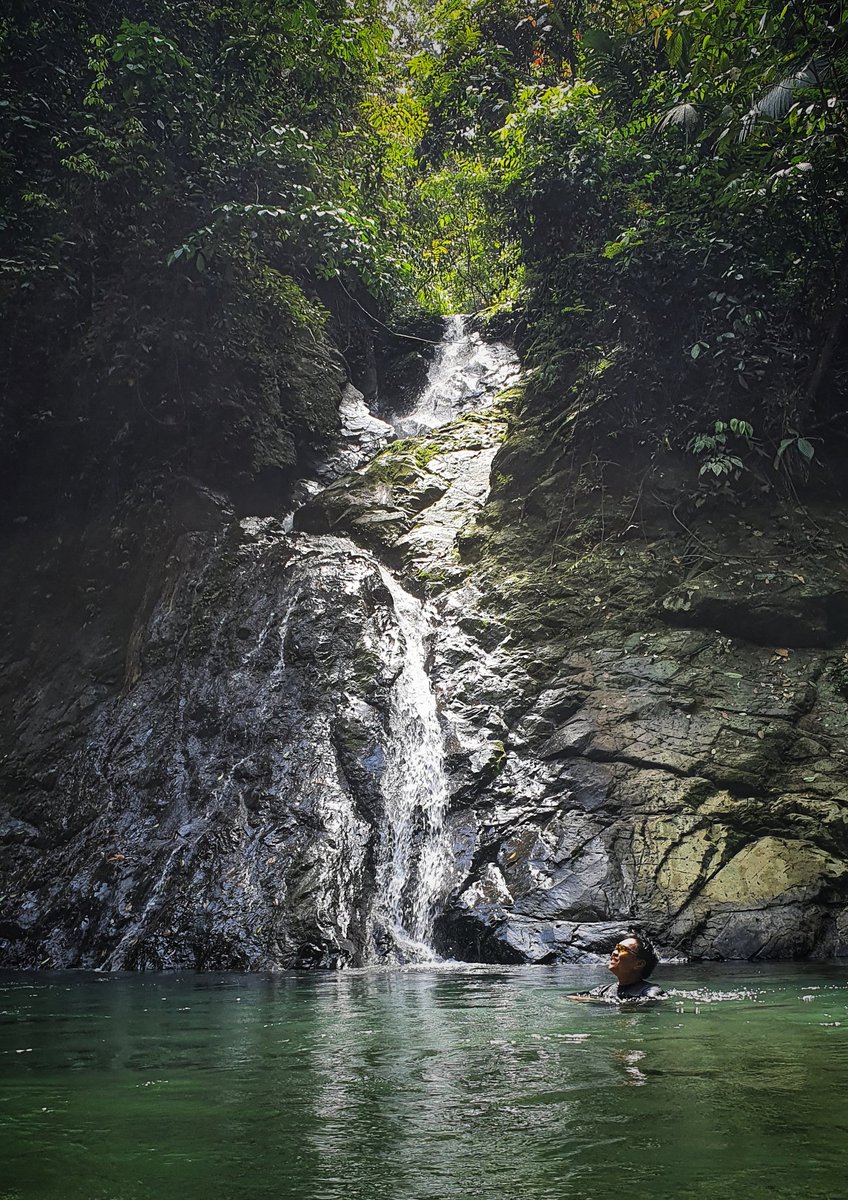 nadikadar's tweet photo. Gak bosan bosan main ke Tangkahan, Langkat, Sumut (lokasi klip Adu Rayu) #SetorFoto #SetorFotoPio @piokharisma https://t.co/T2PaVXZPFx