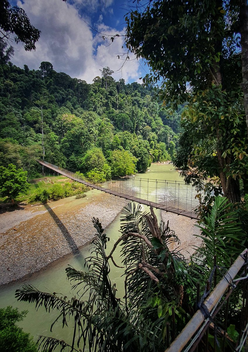 nadikadar's tweet photo. Gak bosan bosan main ke Tangkahan, Langkat, Sumut (lokasi klip Adu Rayu) #SetorFoto #SetorFotoPio @piokharisma https://t.co/T2PaVXZPFx