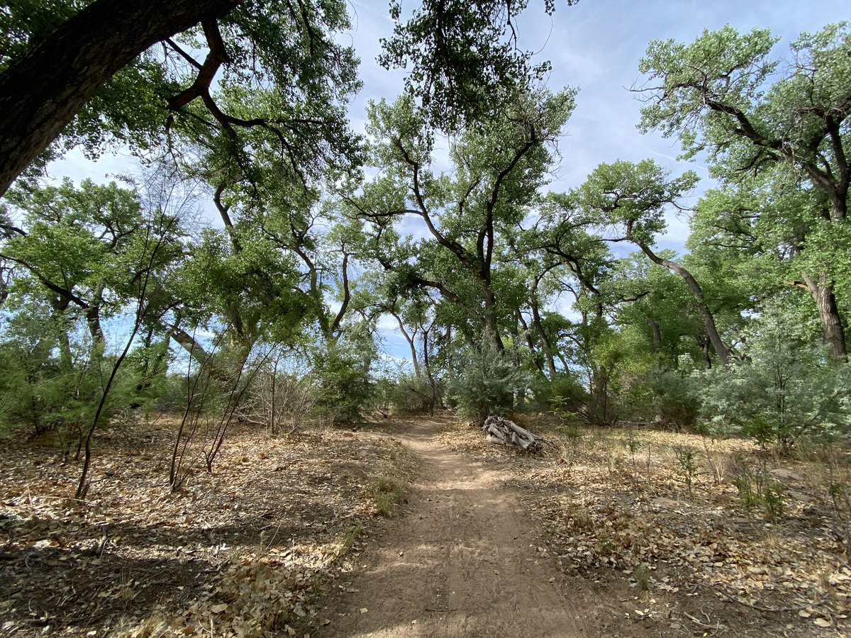 Tom_Garrity's tweet photo. Based on how few people I saw in the Bosque this morning, I am guessing people flocked to the mountains or are sleeping in 🤷🏻‍♂️ https://t.co/pbLx1bZIBB