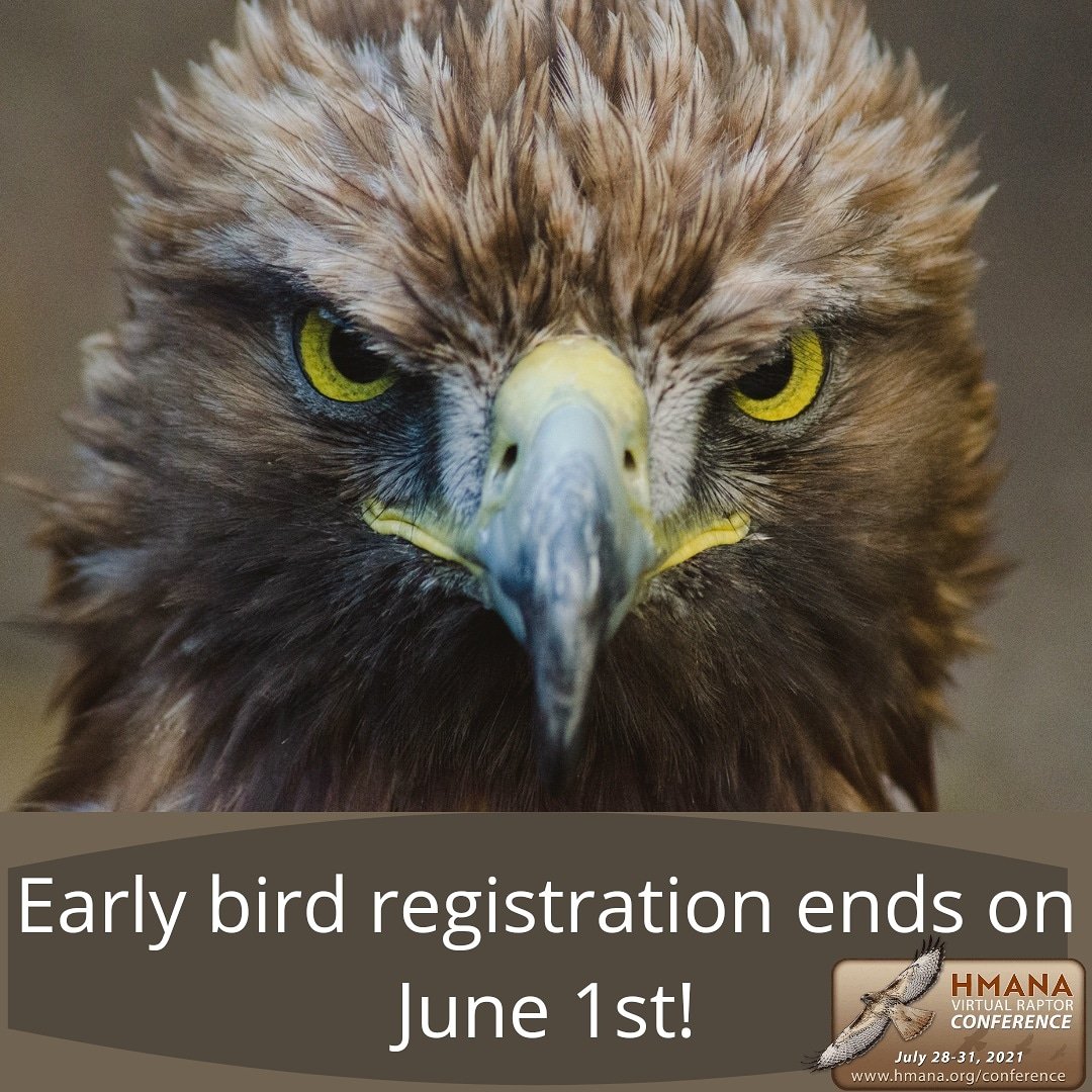 Quick! Early-bird registration rates to the HMANA Virtual Raptor Conference end on Tuesday June 1st
Register today at hmana.org/conference/
With a weekend packed full of amazing speakers, intetesting topics, there's something for everyone!