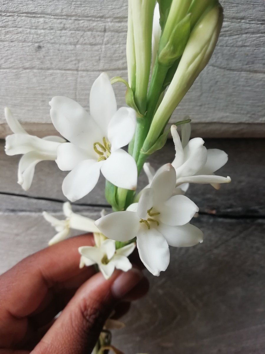 Yo prefiero apostar por la paz, por el amor...por #Cuba. #EliminaElBloqueo @cutino_elianis <a href="/dayessicmg/">Dayessi García</a> <a href="/DaniaDaz4/">Dania Díaz</a> <a href="/cadenagramonte/">Cadena Agramonte</a>