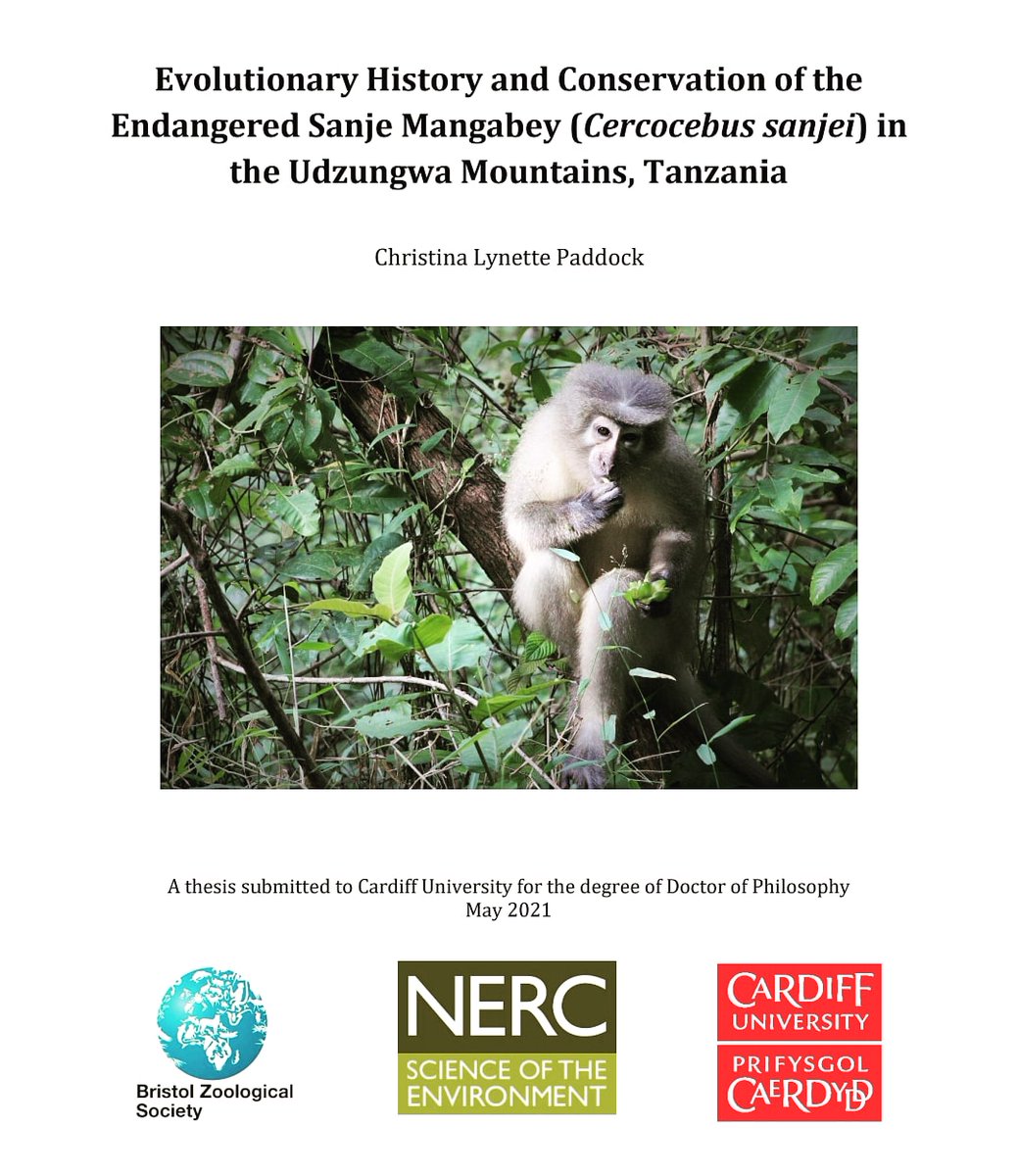 _paddy91's tweet photo. Here it is!!
Massive thank you to @MikeBruford
@grainne_mccabe @serju18 and @dfer_phd, and everyone in @MolEcolCU for all their support.
Also to the wonderful Sanje Mangabey Project team, without their expertise and hard work it wouldn't have been possible🐒💩💩 https://t.co/Sa6AruE754