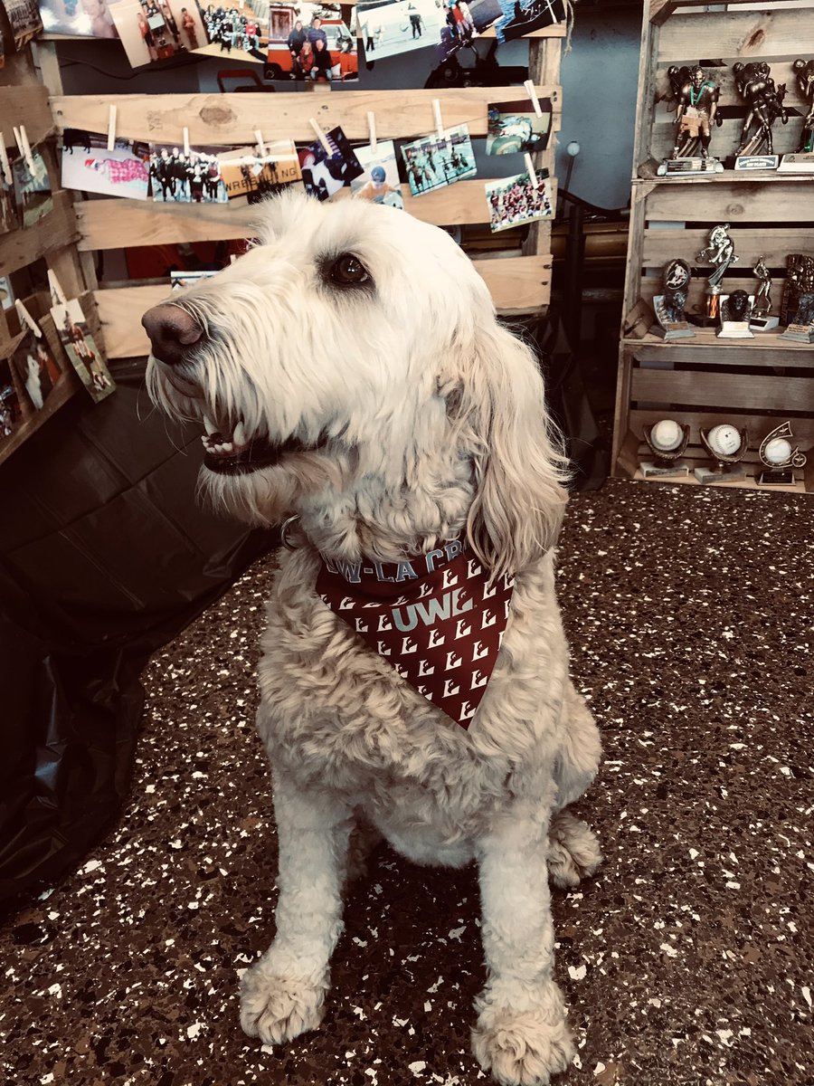 You know it’s going to be a good day when it’s the 1st grad party you go to and the dog greats you with this on! 🦅💪🏻