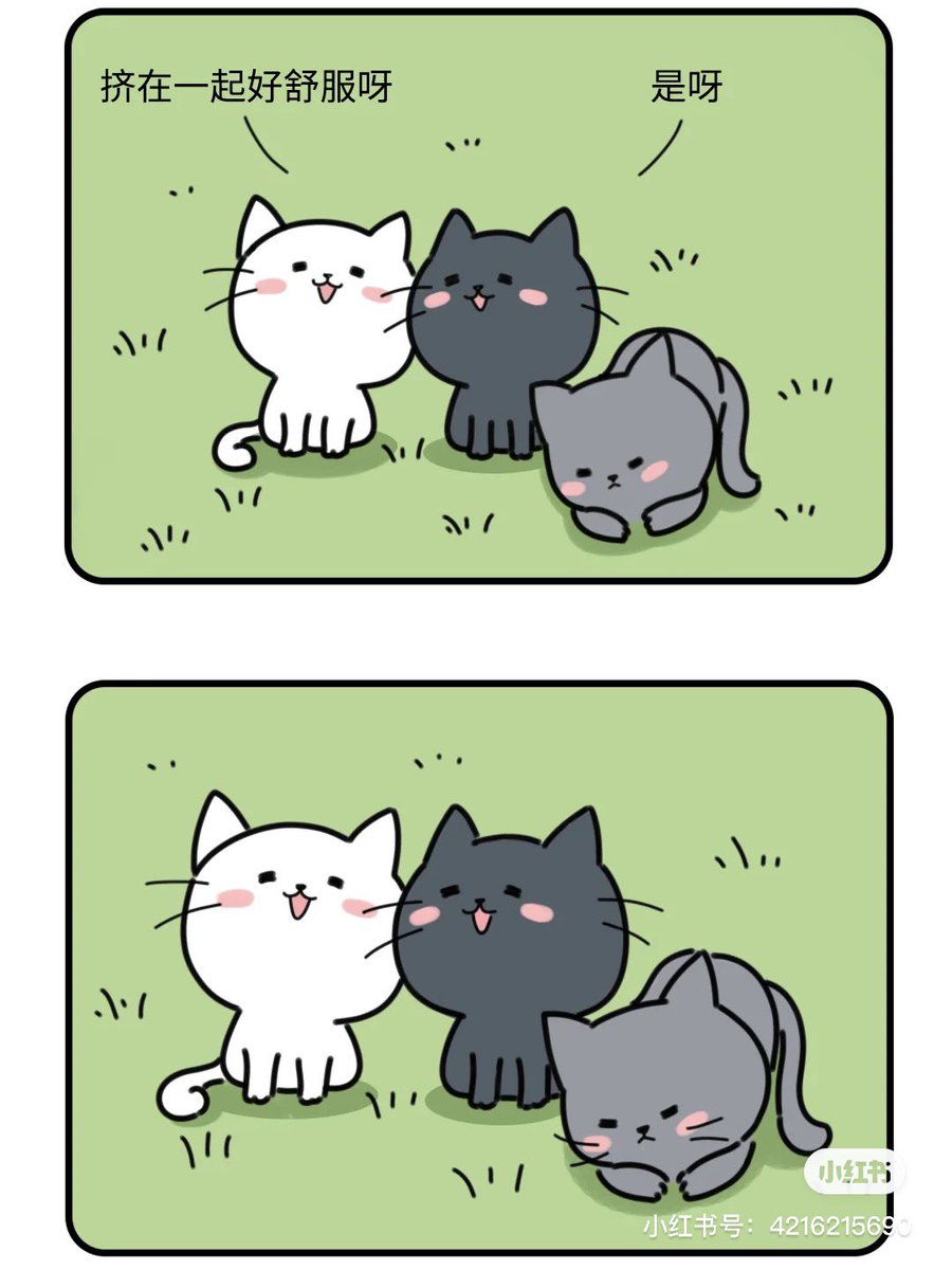 Uzivatel 𝚂𝚎𝚛𝚟𝚊𝚕𝙲𝚊𝚗𝚍𝚕𝚎 Na Twitteru 睡不着 转发小红书上的猫猫漫画 作者id就是水印上显示的 明天要去找地方埋葬小橘子了 哭爆 之后再去安慰下男友好了 他真的对小猫猫很上心 发生这种事情 唉