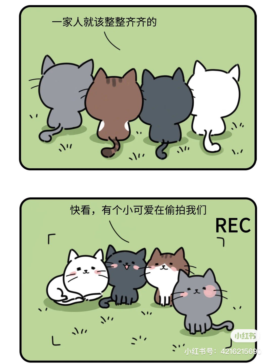 𝚂𝚎𝚛𝚟𝚊𝚕𝙲𝚊𝚗𝚍𝚕𝚎 睡不着 转发小红书上的猫猫漫画 作者id就是水印上显示的 明天要去找地方埋葬小橘子了 哭爆 之后再去安慰下男友好了 他真的对小猫猫很上心 发生这种事情 唉 T Co Xs4qq8nkro Twitter