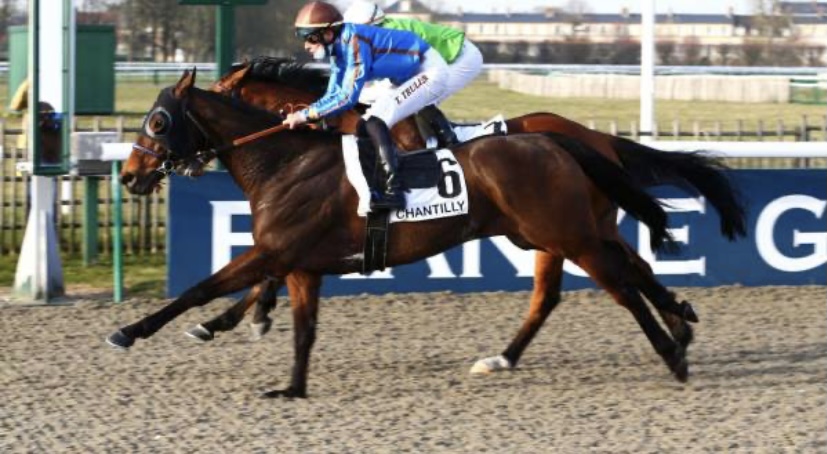 trullierthomas (@trullierthomas) on Twitter photo 🥇Gagnant du prix MUSEE LUXEMBRG, sur l'hippodrome de ParisLongchamp en selle sur le poulain PEDRO THE FIRST, entrainé par N.Caullery🏆🏇
🥈& seconde place de BOCCIATORE dans le prix DU JEU DE PAUME, Bravo à l'équipe 👏👏 <a href="/huet60/">Thomas HUET</a> <a href="/TeamMHNC/">TEAM MH & N.CAULLERY</a> 🥇Gagnant du prix MUSEE LUXEMBRG, sur l'hippodrome de ParisLongchamp en selle sur le poulain PEDRO THE FIRST, entrainé par N.Caullery🏆🏇
🥈& seconde place de BOCCIATORE dans le prix DU JEU DE PAUME, Bravo à l'équipe 👏👏 <a href="/huet60/">Thomas HUET</a> <a href="/TeamMHNC/">TEAM MH & N.CAULLERY</a>