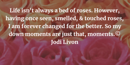 JodiLivon's tweet photo. Bed of roses. #quotes #movingthrough #thehappymedium https://t.co/s4TsaGLyco