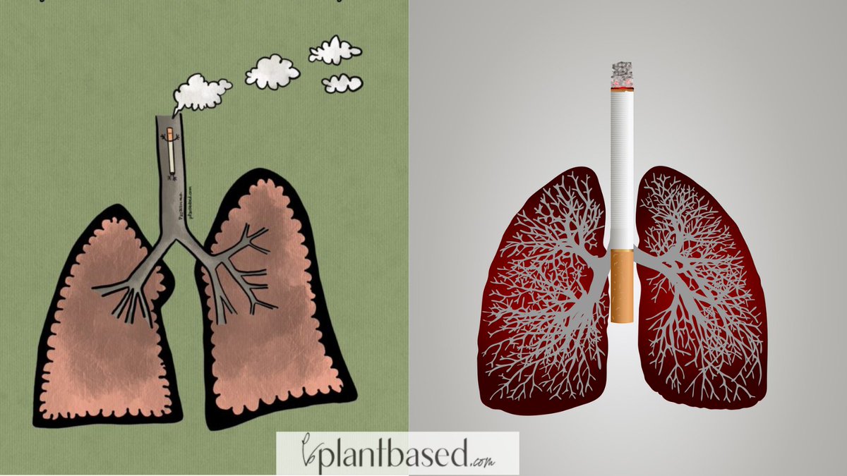 What Are the Dangers of Secondhand Smoking? No level of SHS exposure is safe. Secondhand smoke can contain over 7,000 chemicals. Hundreds are toxins, and close to 70 are carcinogenic. #healthcondition #secondhandsmoking Read more here: plantbased.com/the-lethal-dan…