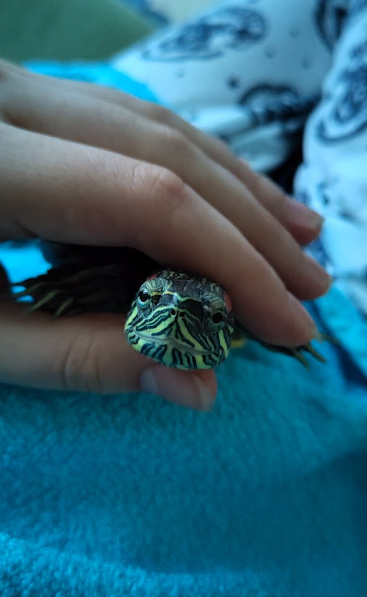 ya gafami niye duduoysun be kadin