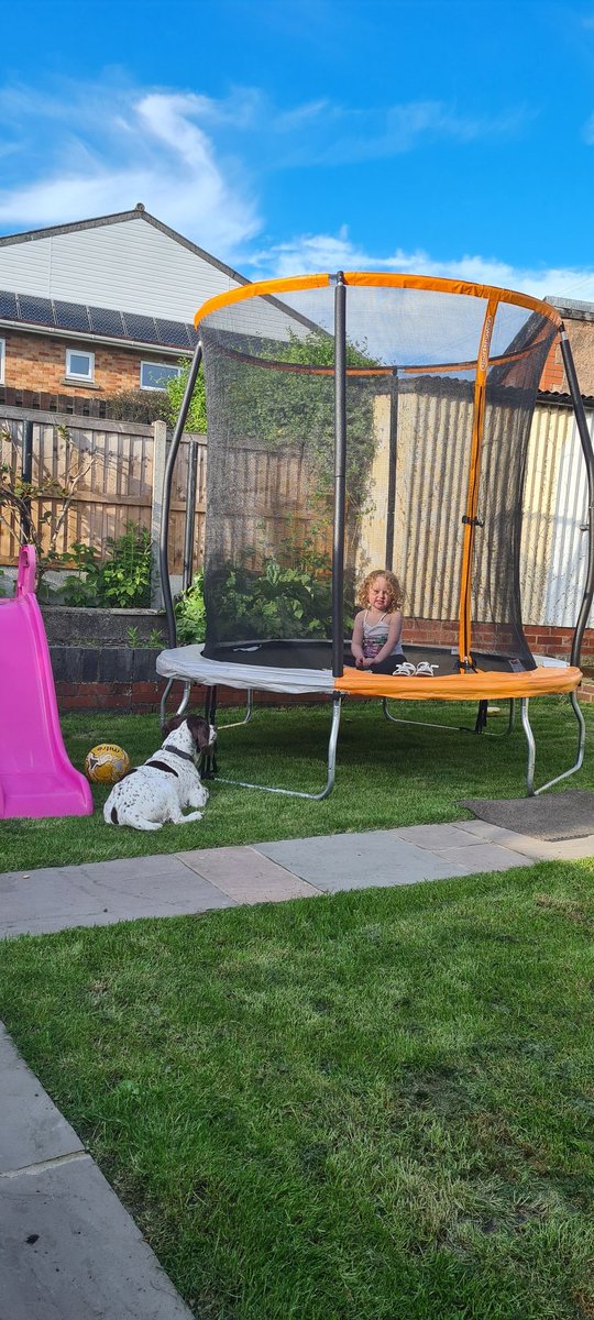 MagicLottie's tweet photo. The only safe space to eat when Rolo is around 😂🤣😍🥰 https://t.co/N6vcDTmAUw