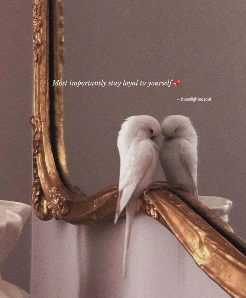 #ooc I thought since I hang in my internet service hotline (since an hour) I share something meaningful 🖤