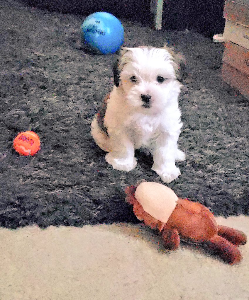 Hi everyone! My name is Daz.