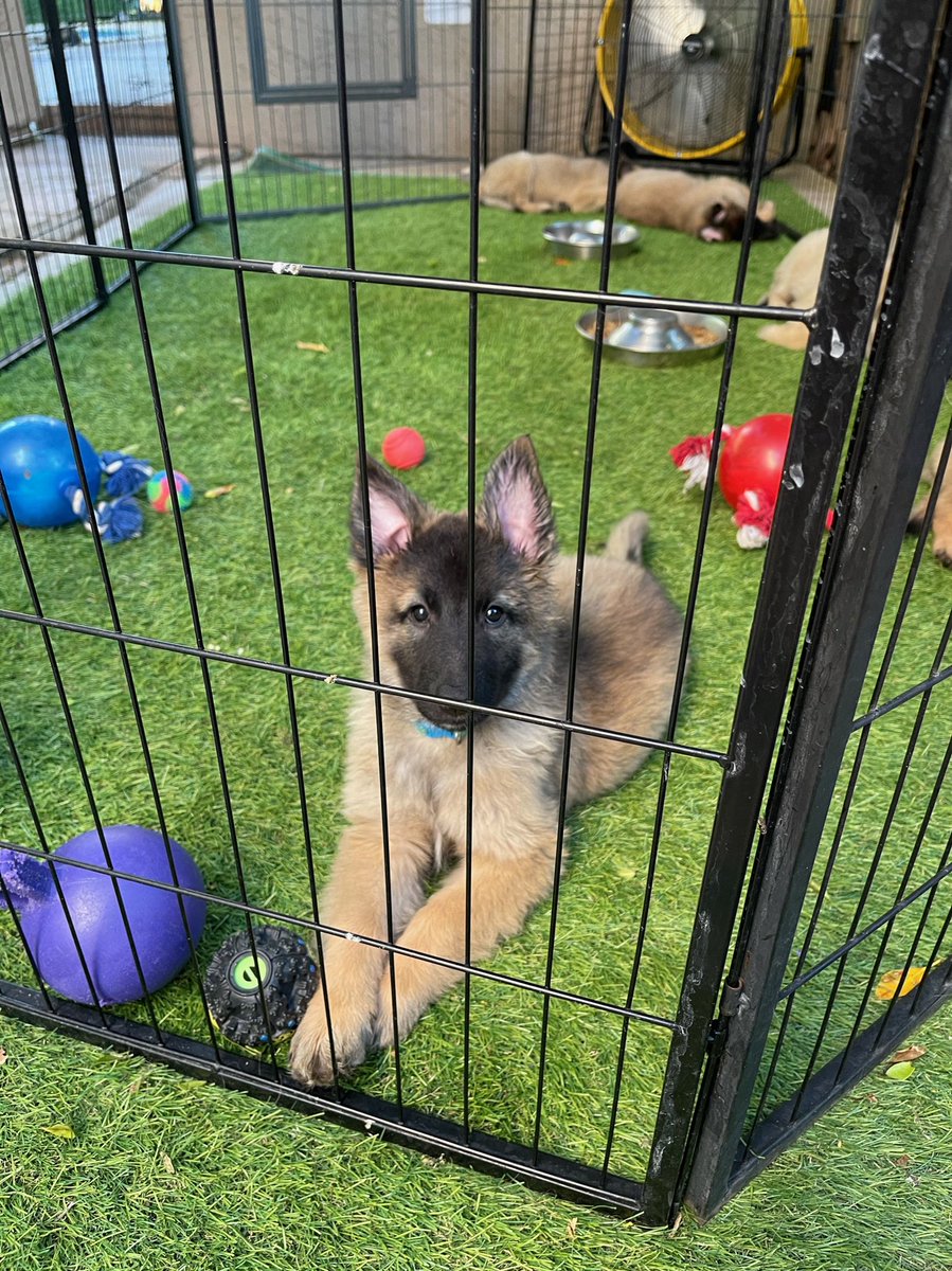 Dr. Kathleen E. Padilla tweet media