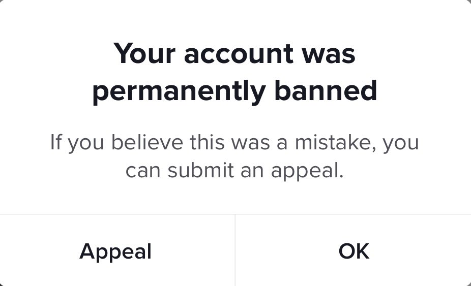 elisemait's tweet photo. Hey all! My TikTok account, which I’ve been working super hard on for months has just been permanently banned for no reason. I’d be incredibly grateful if you could tweet @tiktok_uk @TikTokSupport to help me get it back. Beyond gutted😫 https://t.co/3CFCHxy5Au