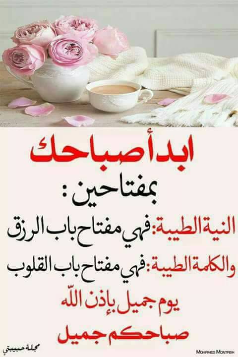fatmaeldeeb79's tweet photo. https://t.co/2e0MlzaDrk