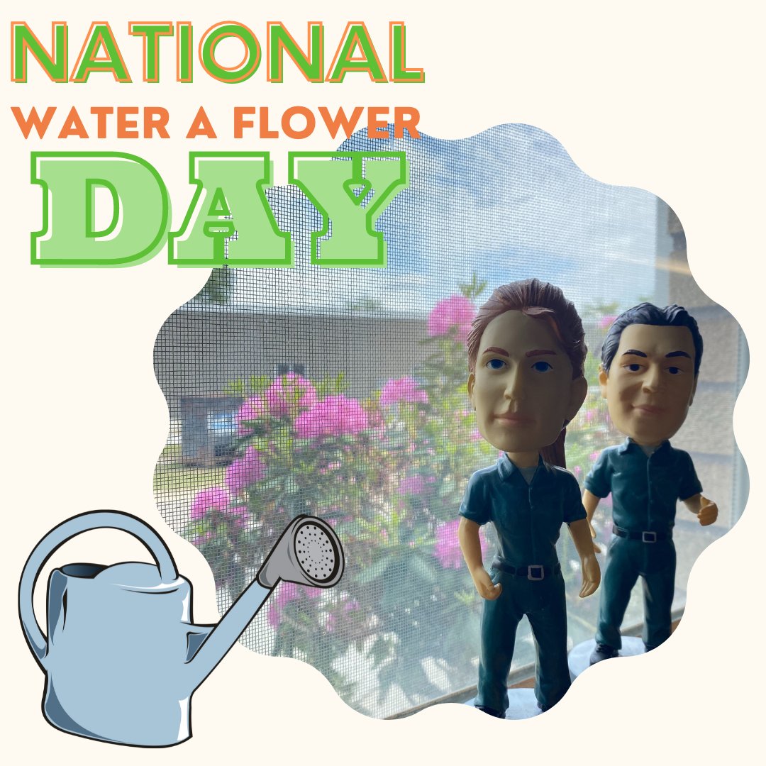 Get out there and do some gardening this #NationalWaterAFlowerDay! If you end up getting water in your basement instead of your garden though- we are here for you!