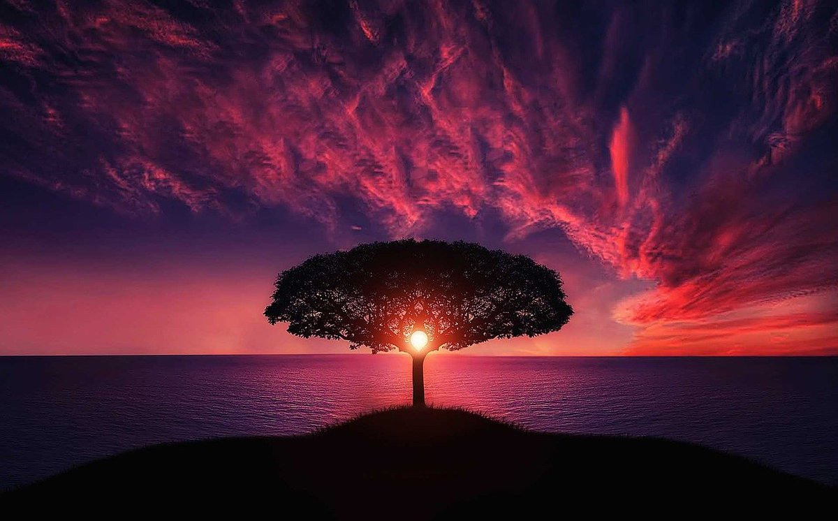 hungrysteps's tweet photo. "By bringing about a certain inner discipline, we can undergo a transformation of our attitude, our entire outlook, and approach of living."
- HH Dalai Lama https://t.co/pnUKI6Uo59