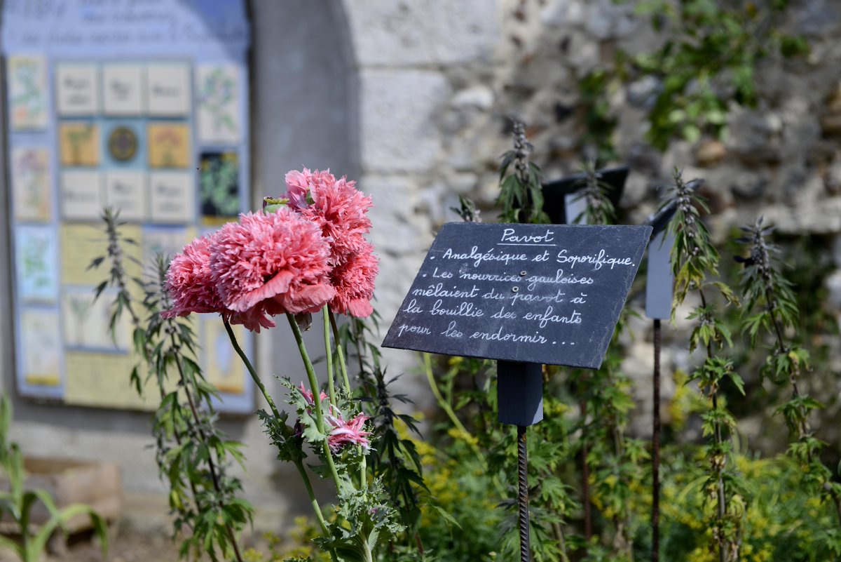 epn_27's tweet photo. #RegardsInsolites Aujourd’hui, focus sur le village de #Croth qui cultive au quotidien une douceur de vivre…
L’origine de la commune remonterait à l’époque gauloise… Et son nom proviendrait de celui de la forêt de Crothais, ... Histoire et vidéo sur https://t.co/zQXj13qAPv https://t.co/gVmSJy6q8c