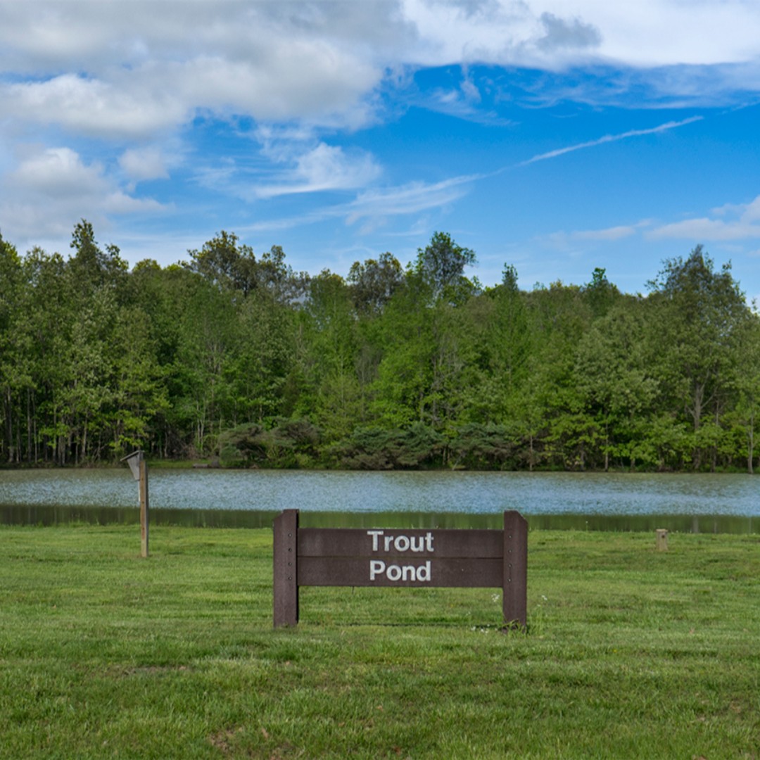 HomeofSuperman's tweet photo. How about a little fishing at the Fort Massac State Park  trout pond?  
#HomeofSuperman
#MetropolisIL
#Nature
#Fishing
#Troutfishing
#southernil
#EnjoyIllinois https://t.co/oewBQSxROi