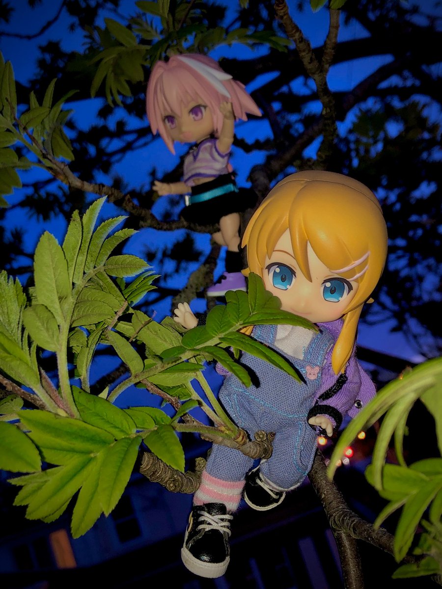 tsuki_emiri's tweet photo. 🌅sunset adventures 🌅 #nendoroidphoto #animefigure #astoflo #kirinokousaka https://t.co/Tq8pBHzaUj