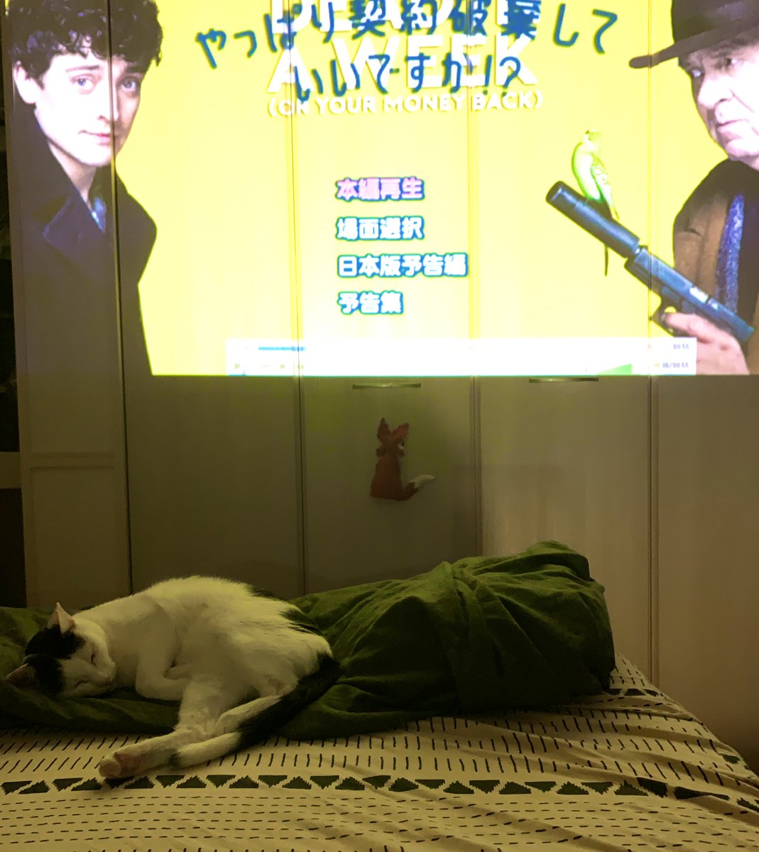 73gYf2nz6bfTpuT's tweet photo. Sunday’s night 💟
日曜日はコメディでサラッと楽しく寝たい。自殺未遂を何度も試みるも失敗ばかり、プロに暗殺を頼んだ直後夢が叶う可能性が出るわ可愛い彼女が出来るわで契約破棄したい青年と、依頼された殺し屋の話。軽くて面白かった。
#Deadinaweek https://t.co/bNxE6AtTkN