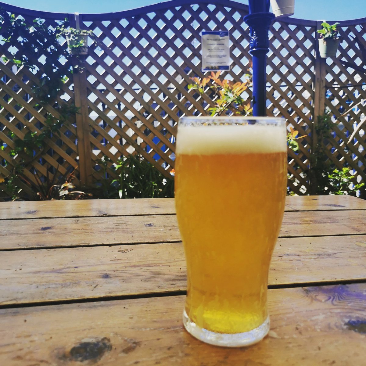 Who else is enjoying this amazing bank holiday weather?

<a href="/BCAWalsall/">Black Country Arms</a>
#lockdownlifting #realale #camra #pubgarden
