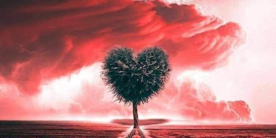 sarazein911's tweet photo. والله لستُ أطيقُ بُعدَكْ.. قل لي فكيفَ أعيشُ بَعدكْ؟

أم كيفَ أقترفُ الغيابَ وقد نسيتُ القلبَ عندَكْ؟

حاولتُ أفرشُ وردَ خدّي كي تمدَّ إليهِ خدَّكْ

هلّا أعدتَ إليّ رُشدي إنْ أعَدْتُ إليكَ رشدكْ؟

حولي ملايينُ الرجالِ ... ولا أرى إلاكَ وحدك!!!

#سارة_الزين https://t.co/lcu9AdNQOS