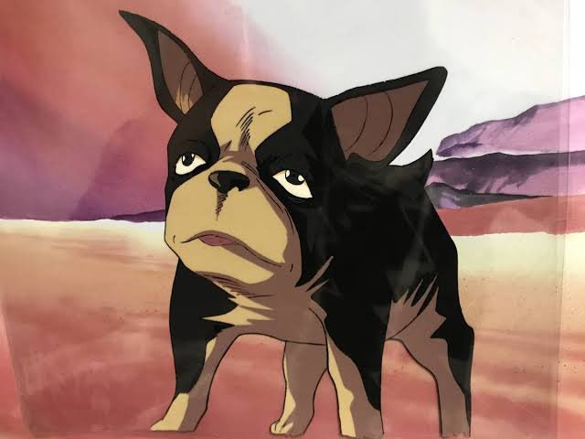 黒杏 Sunny Ovaイギー アニメイギー 現実のボストンテリア 若い時 12歳時 T Co Fj2fumfn9x Twitter