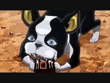 黒杏 Sunny Ovaイギー アニメイギー 現実のボストンテリア 若い時 12歳時 黒杏 Sunny Ovaイギー アニメイギー 現実のボストンテリア 若い時 12歳時