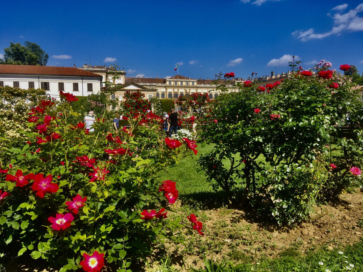 Riapriamo e ripartiamo dai profumi inebrianti del roseto #reggiadimonza ⁦<a href="/ReggiadiMonza/">Reggia di Monza</a>⁩ ⁦<a href="/monzatoday/">MonzaToday</a>⁩ ⁦<a href="/ComuneMonza/">Comune di Monza</a>⁩
