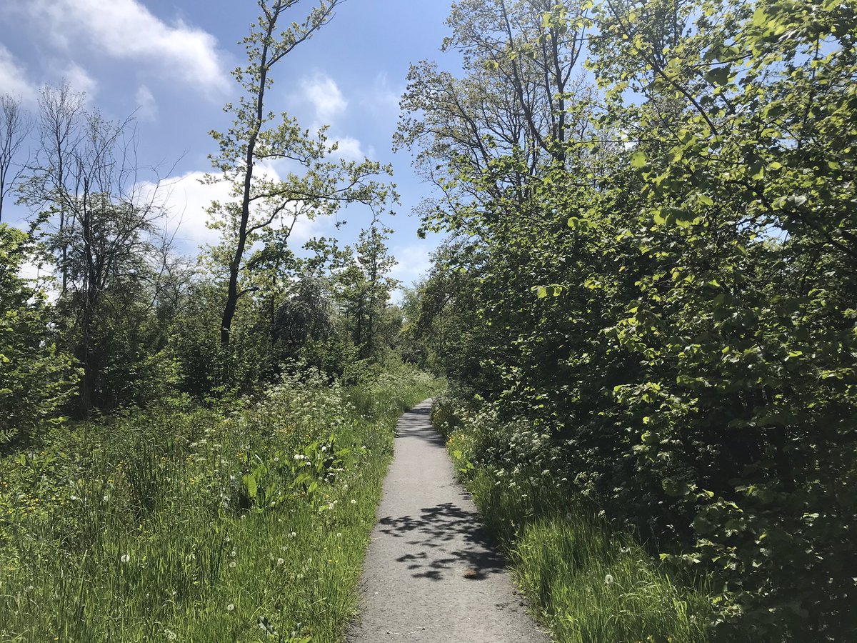 KorBerghuis's tweet photo. Fietstochtje op het Hoogeland. Best nog een fris windje. https://t.co/H91CCFusui