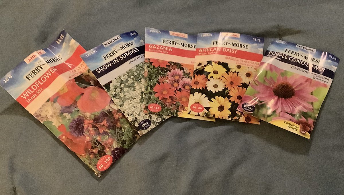 deborah_saffer's tweet photo. My son #volunteered at a #CommunityOrchard yesterday and came home with started seedlings and #flower packets. This is just what Didn’t get planted yet. He has a heart for #Service. Always so Proud. Loves #Gardening and #nature I’m #EternallyBlessed #sundayvibes https://t.co/sWRPiQZrv6